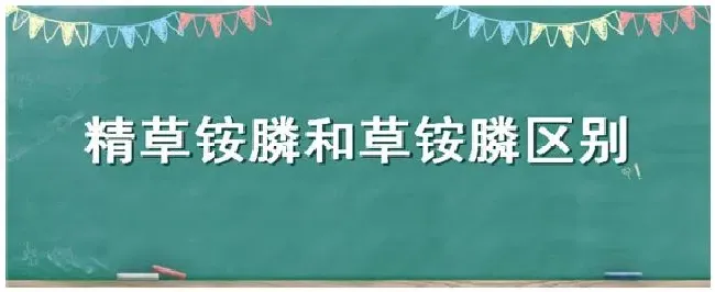 精草铵膦和草铵膦区别 | 农业答疑