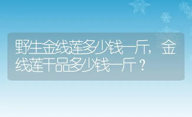 野生金线莲多少钱一斤,金线莲干品多少钱一斤？ | 养殖常见问题