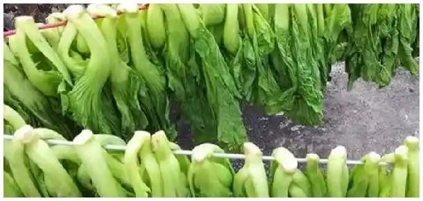 芥菜的腌制方法 | 三农问答
