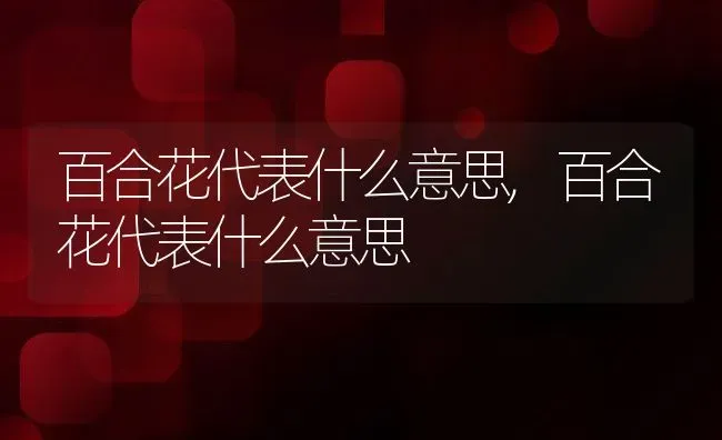 百合花代表什么意思,百合花代表什么意思 | 养殖常见问题