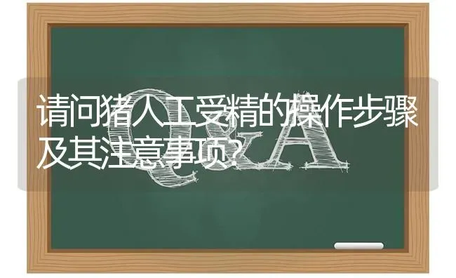 请问猪人工受精的操作步骤及其注意事项? | 养殖问题解答