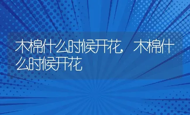 木棉什么时候开花,木棉什么时候开花 | 养殖常见问题