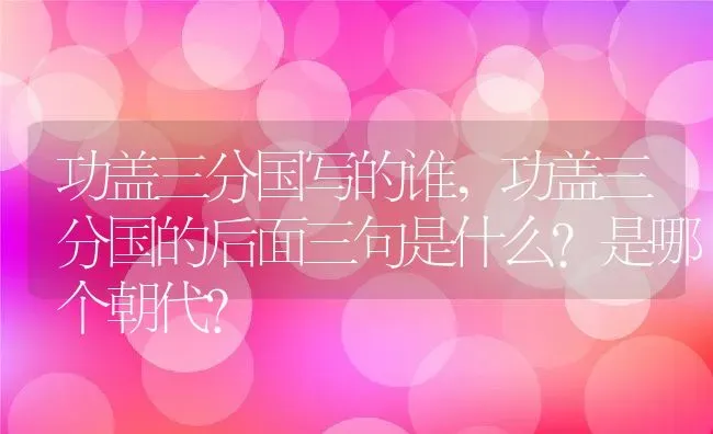 功盖三分国写的谁,功盖三分国的后面三句是什么?是哪个朝代？ | 养殖常见问题