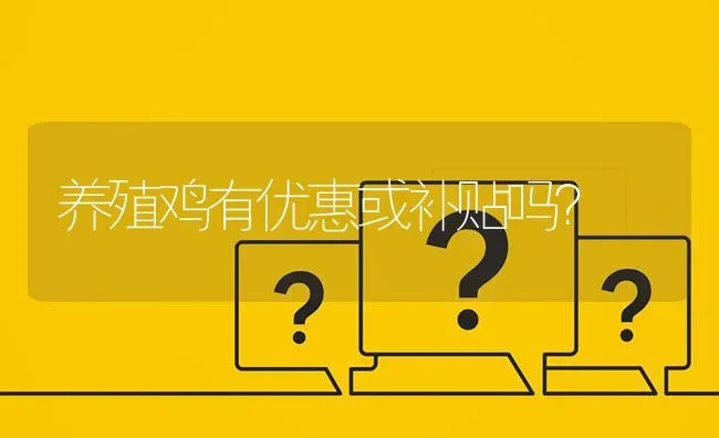 养殖鸡有优惠或补贴吗? | 养殖问题解答