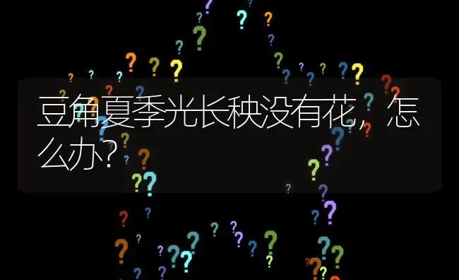 豆角夏季光长秧没有花,怎么办? | 养殖问题解答