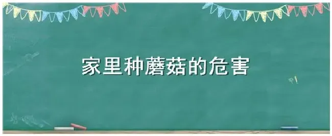 家里种蘑菇的危害 | 生活常识