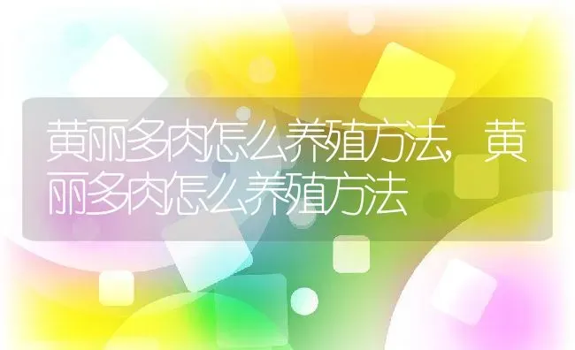 黄丽多肉怎么养殖方法,黄丽多肉怎么养殖方法 | 养殖常见问题