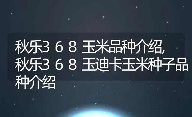 秋乐368玉米品种介绍,秋乐368玉迪卡玉米种子品种介绍 | 养殖常见问题