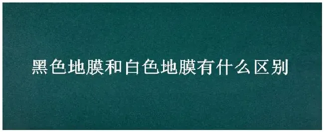 黑色地膜和白色地膜有什么区别 | 三农答疑