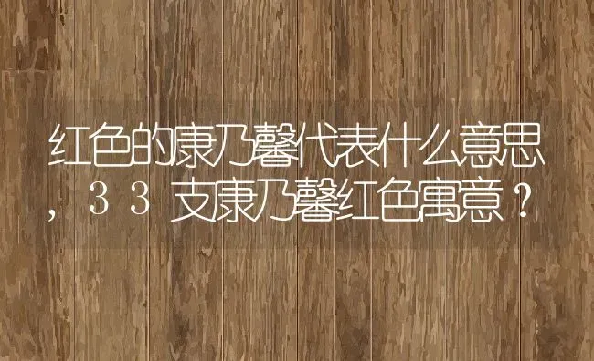 红色的康乃馨代表什么意思,33支康乃馨红色寓意？ | 养殖常见问题