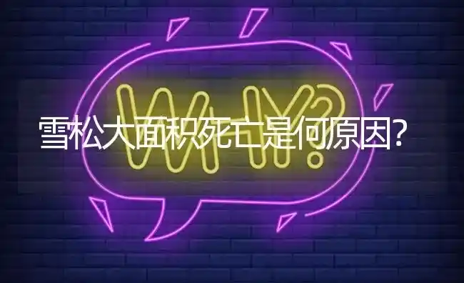 雪松大面积死亡是何原因? | 养殖问题解答