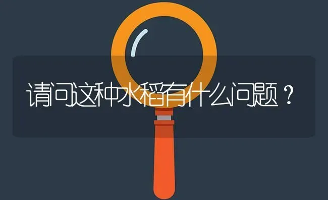 请问这种水稻有什么问题? | 养殖问题解答