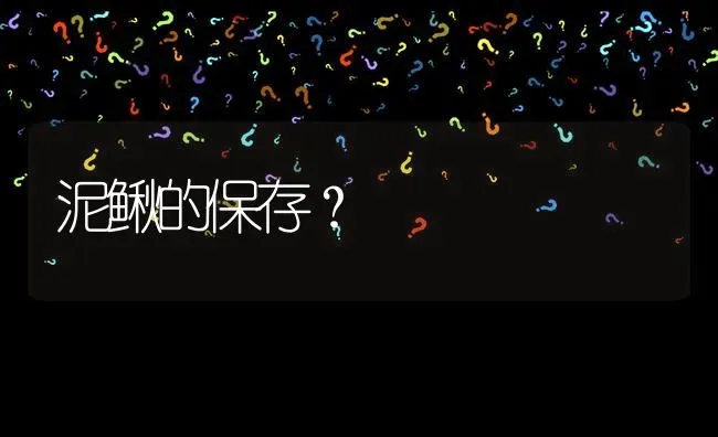 泥鳅的保存? | 养殖问题解答