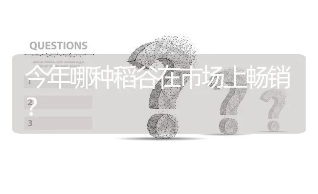 今年哪种稻谷在市场上畅销? | 养殖问题解答