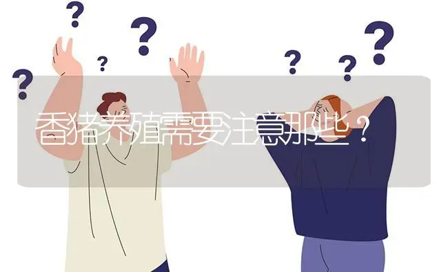 香猪养殖需要注意那些? | 养殖问题解答