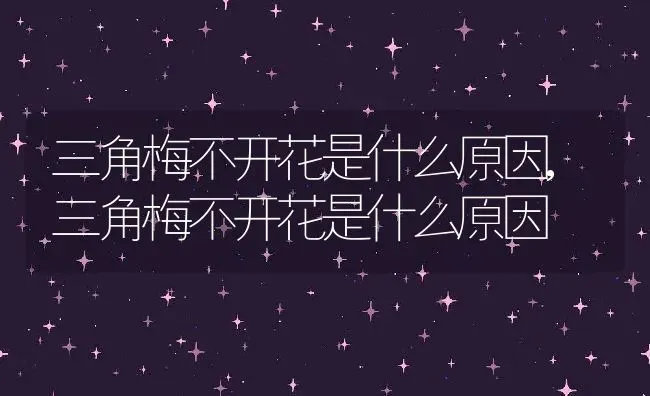 三角梅不开花是什么原因,三角梅不开花是什么原因 | 养殖常见问题