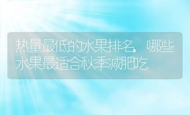 热量最低的水果排名,哪些水果最适合秋季减肥吃 | 养殖常见问题