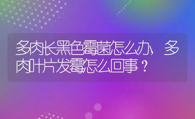 多肉长黑色霉菌怎么办,多肉叶片发霉怎么回事？ | 养殖常见问题