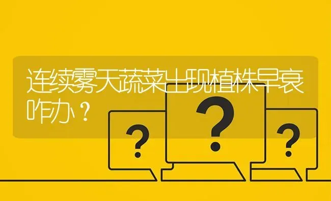 连续雾天蔬菜出现植株早衰咋办? | 养殖问题解答