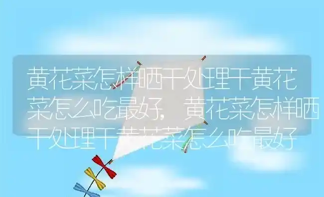 黄花菜怎样晒干处理干黄花菜怎么吃最好,黄花菜怎样晒干处理干黄花菜怎么吃最好 | 养殖常见问题