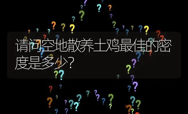 请问空地散养土鸡最佳的密度是多少? | 养殖问题解答