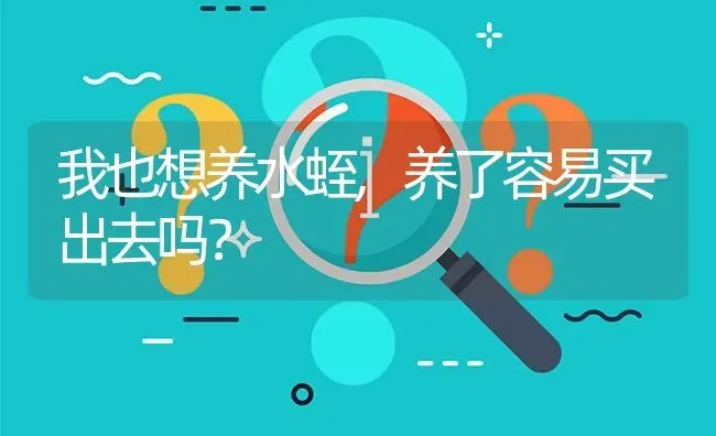 我也想养水蛭,养了容易买出去吗? | 养殖问题解答