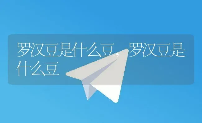 罗汉豆是什么豆,罗汉豆是什么豆 | 养殖常见问题