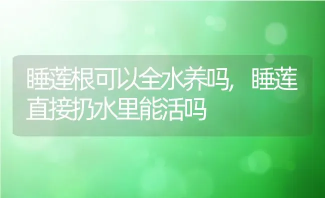 睡莲根可以全水养吗,睡莲直接扔水里能活吗 | 养殖常见问题