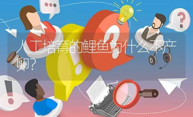 人工培育的鲤鱼为什么不产卵? | 养殖问题解答