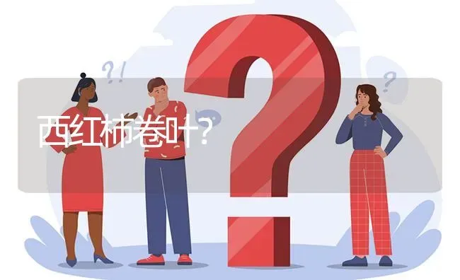 西红柿卷叶? | 养殖问题解答