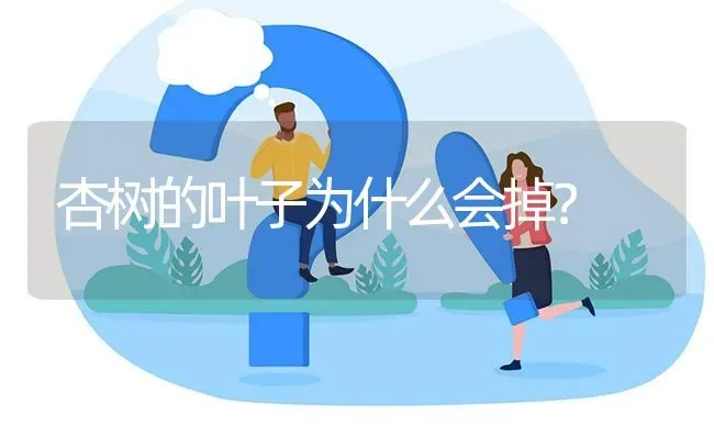 杏树的叶子为什么会掉? | 养殖问题解答