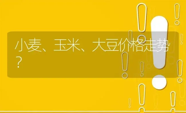 小麦、玉米、大豆价格走势? | 养殖问题解答