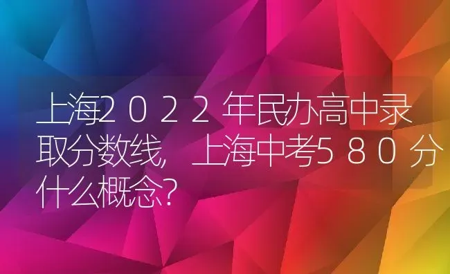 上海2022年民办高中录取分数线,上海中考580分什么概念？ | 养殖常见问题