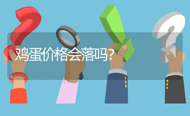 鸡蛋价格会落吗? | 养殖问题解答