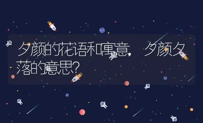 夕颜的花语和寓意,夕颜夕落的意思？ | 养殖常见问题