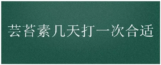 芸苔素几天打一次合适 | 农业常识