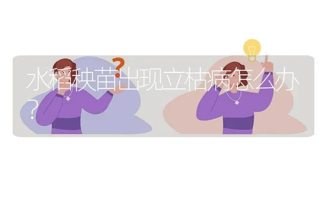 水稻秧苗出现立枯病怎么办? | 养殖问题解答