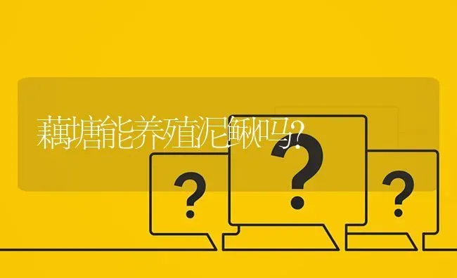 藕塘能养殖泥鳅吗? | 养殖问题解答