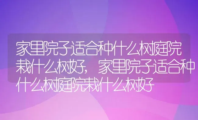 家里院子适合种什么树庭院栽什么树好,家里院子适合种什么树庭院栽什么树好 | 养殖常见问题