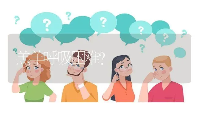 羔羊呼吸困难? | 养殖问题解答