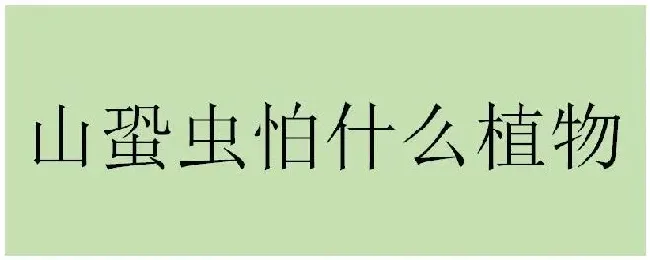 山蛩虫怕什么植物 | 三农答疑