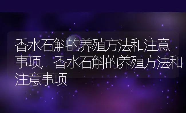 香水石斛的养殖方法和注意事项,香水石斛的养殖方法和注意事项 | 养殖常见问题