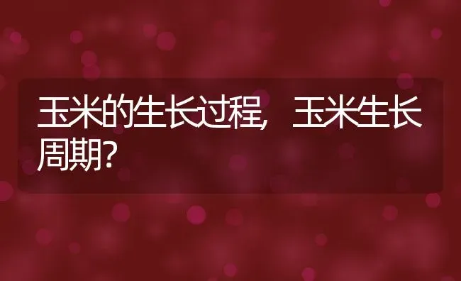 玉米的生长过程,玉米生长周期？ | 养殖常见问题