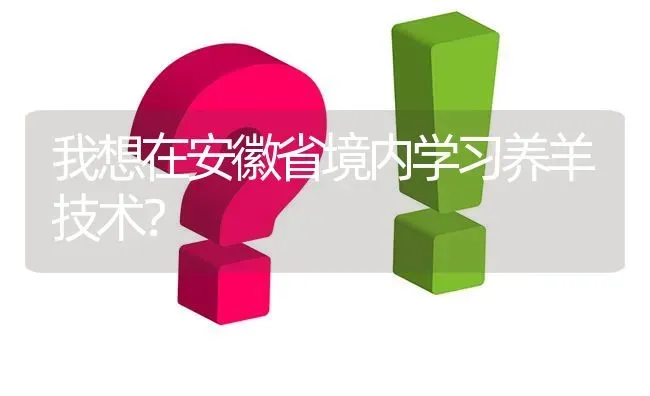 我想在安徽省境内学习养羊技术? | 养殖问题解答