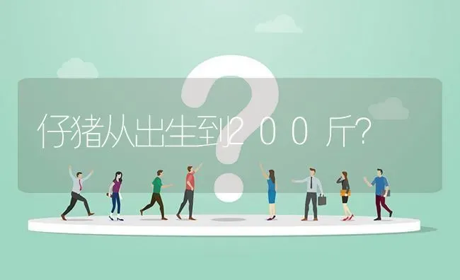 仔猪从出生到200斤? | 养殖问题解答