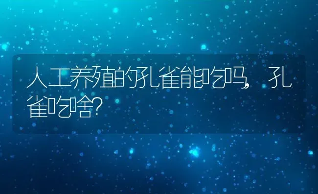 人工养殖的孔雀能吃吗,孔雀吃啥？ | 养殖常见问题