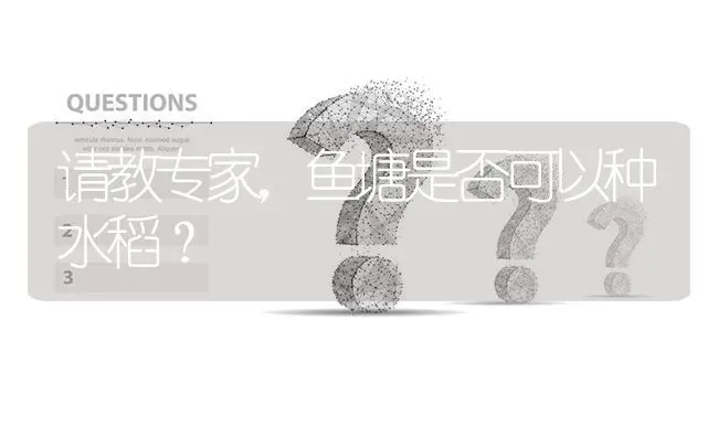 请教专家,鱼塘是否可以种水稻? | 养殖问题解答