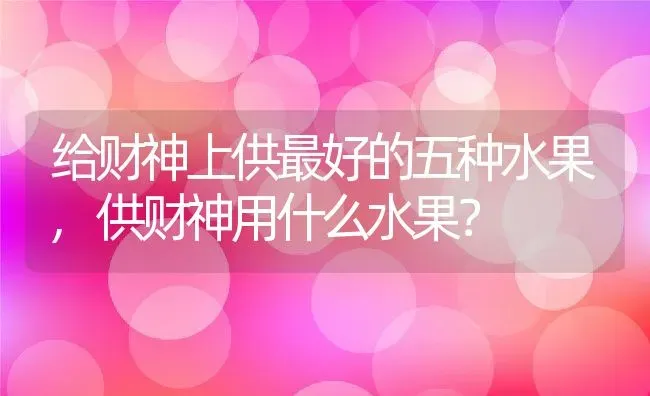 给财神上供最好的五种水果,供财神用什么水果？ | 养殖常见问题