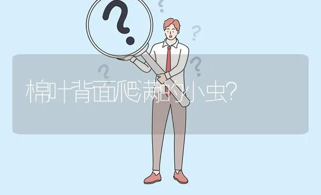 棉叶背面爬满的小虫? | 养殖问题解答