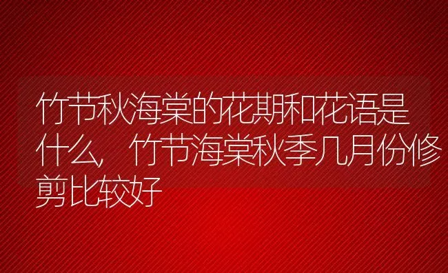 竹节秋海棠的花期和花语是什么,竹节海棠秋季几月份修剪比较好 | 养殖常见问题